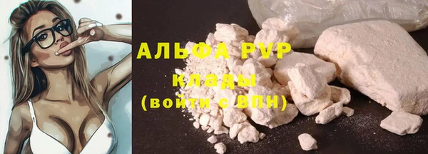 тгк Беломорск